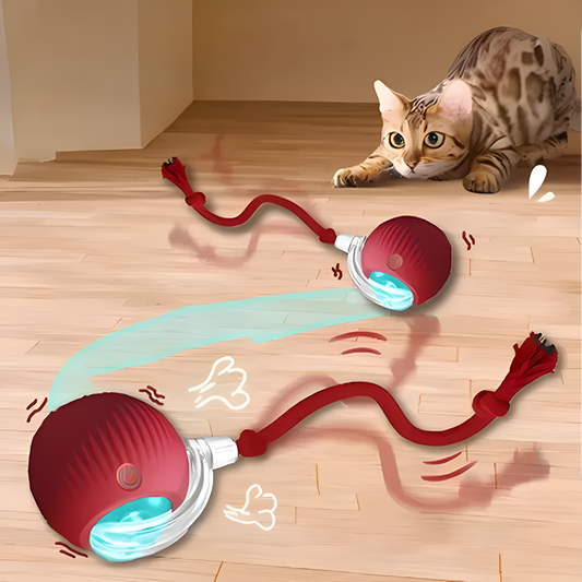 Catfri® CatBall: Automatisk Interaktiv Sjov Kat Jage Bold